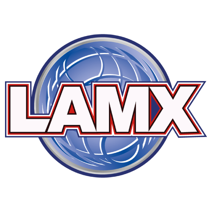 LAMX Logo